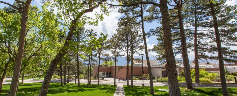 Trees on Campus