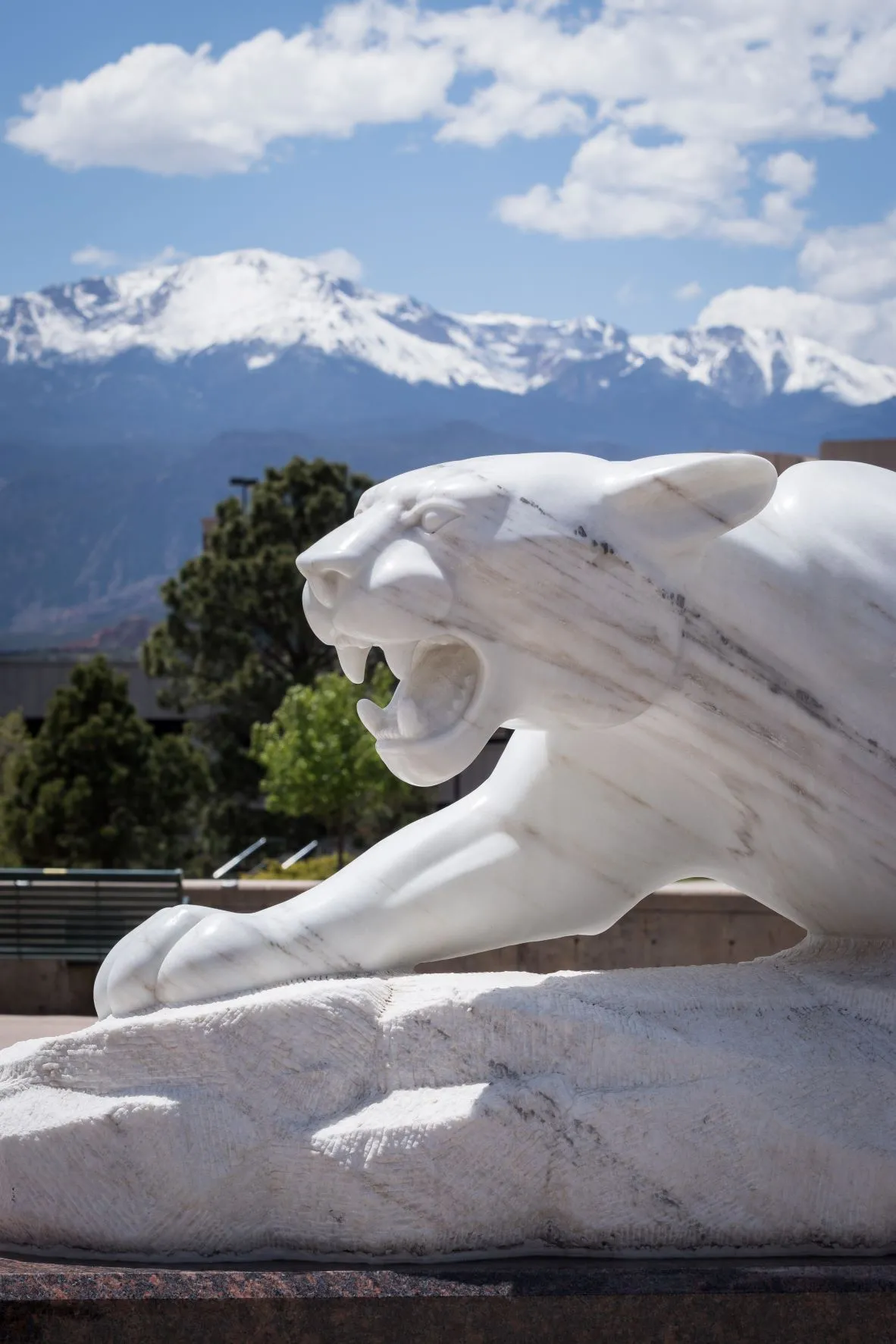 Mountain Lion Statue